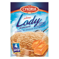 Lody domowe o smaku słonego karmelu CYKORIA
